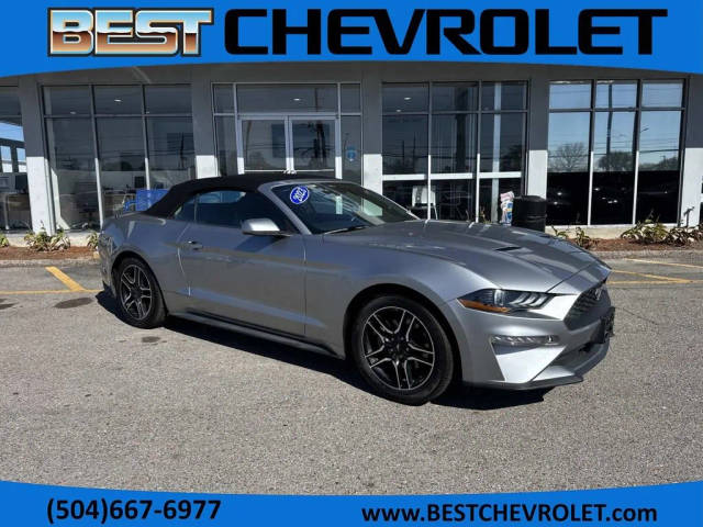 2023 Ford Mustang EcoBoost RWD photo