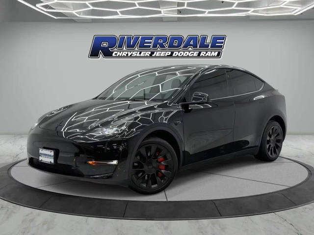 2023 Tesla Model Y  AWD photo