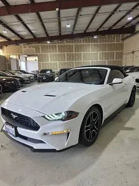 2019 Ford Mustang EcoBoost Premium RWD photo