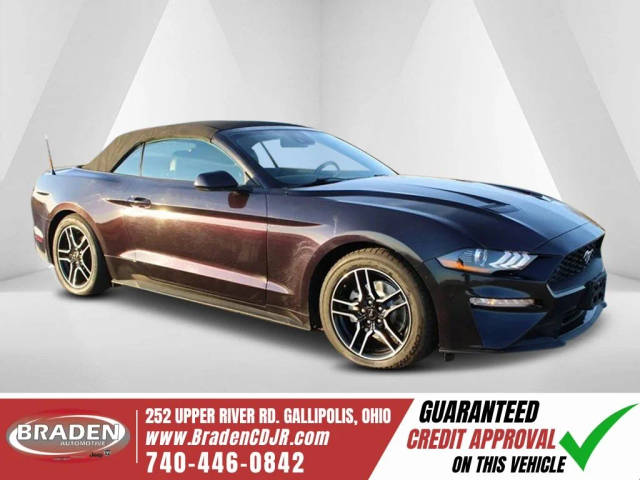 2023 Ford Mustang EcoBoost Premium RWD photo