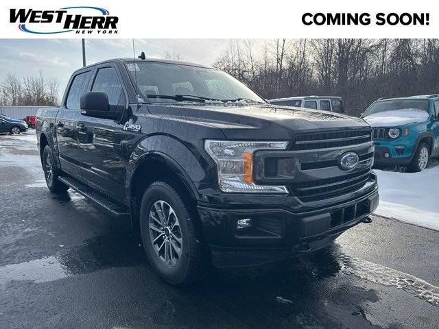 2019 Ford F-150 XLT 4WD photo
