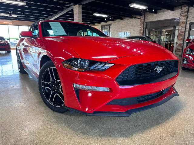 2023 Ford Mustang EcoBoost RWD photo
