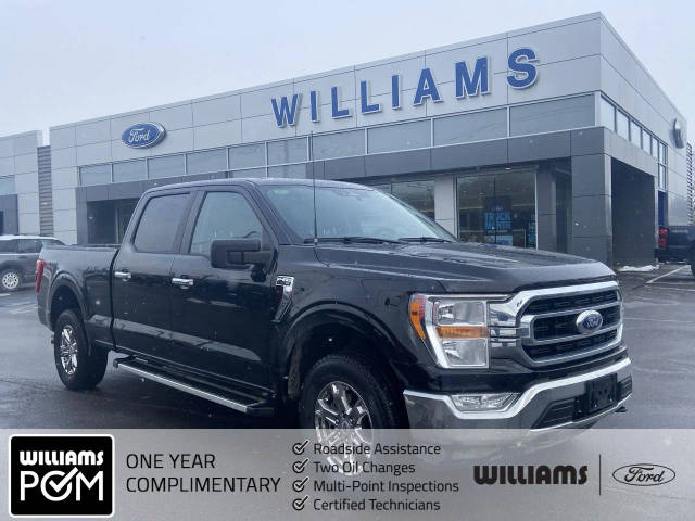 2023 Ford  XLT 4WD photo