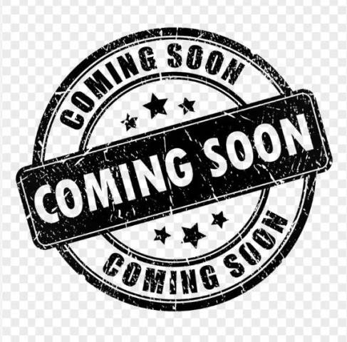 2023 Hyundai Santa Fe SEL AWD photo