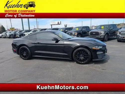 2019 Ford Mustang GT RWD photo