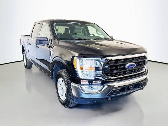 2021 Ford F-150 XLT 4WD photo