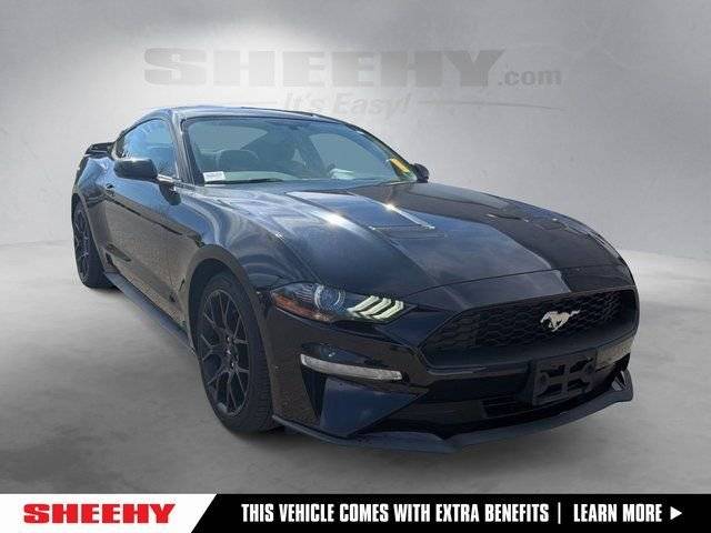 2019 Ford Mustang EcoBoost RWD photo