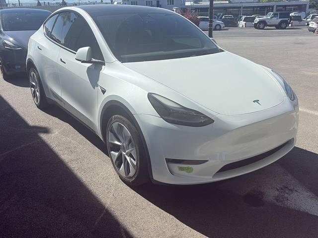 2023 Tesla Model Y Long Range AWD photo