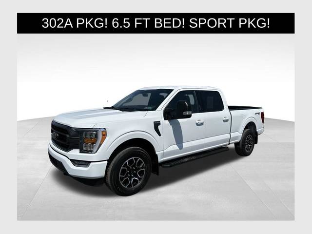 2022 Ford F-150 XL 4WD photo