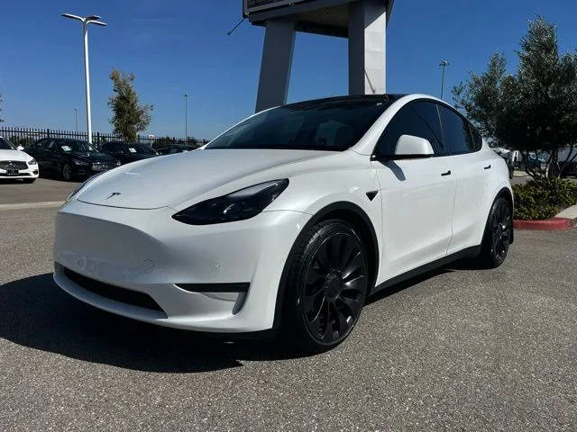 2021 Tesla Model Y Performance AWD photo
