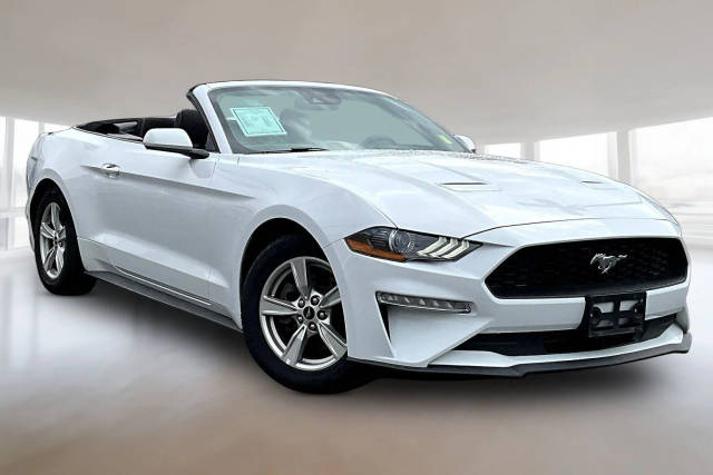 2023 Ford Mustang EcoBoost RWD photo