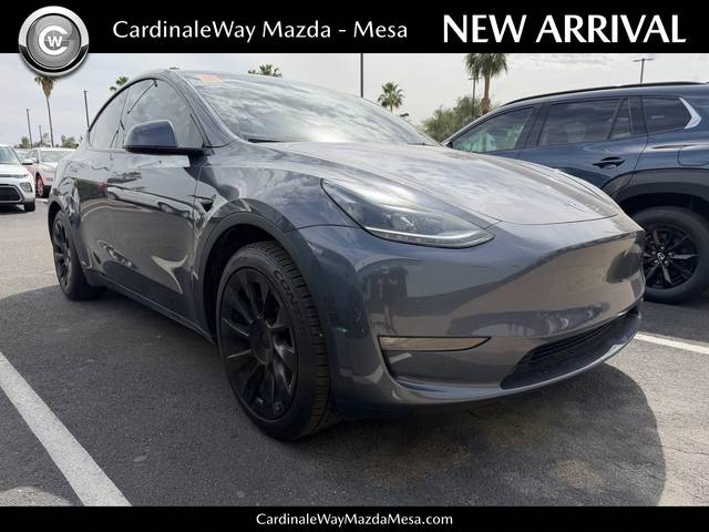 2023 Tesla Model Y RWD photo