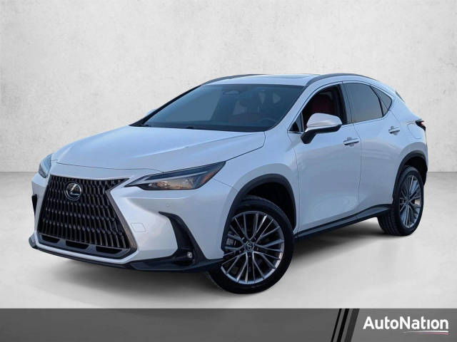 2023 Lexus NX NX 350h Premium AWD photo