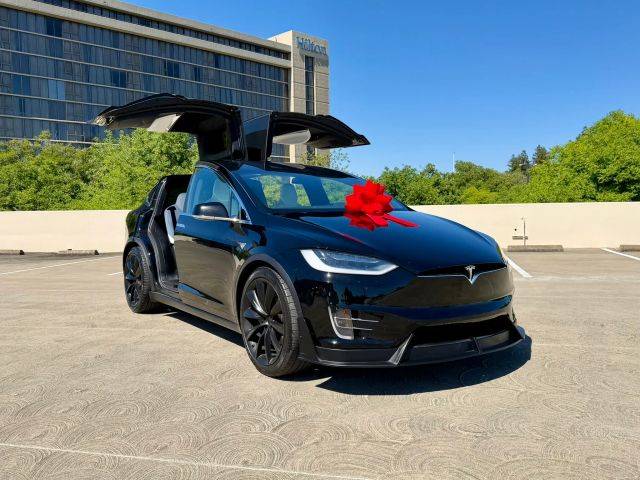 2019 Tesla Model X 75D AWD photo