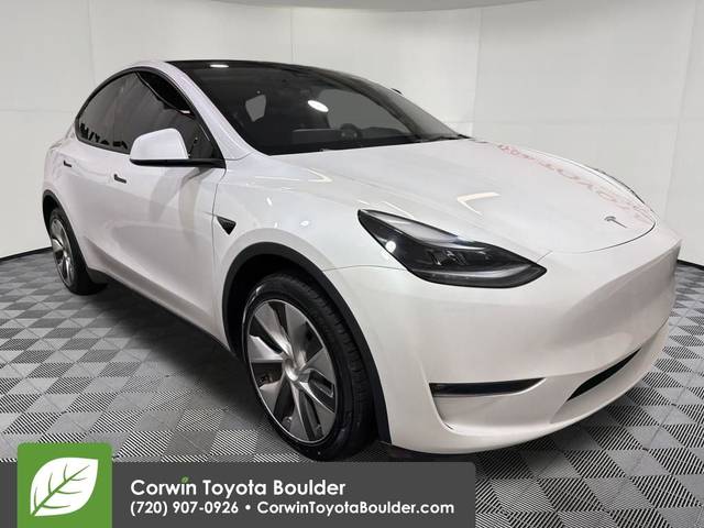 2023 Tesla Model Y  AWD photo