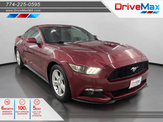 2015 Ford Mustang EcoBoost RWD photo