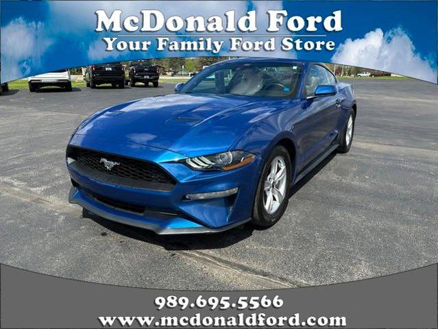 2022 Ford Mustang EcoBoost RWD photo