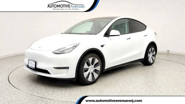 2023 Tesla Model Y  AWD photo