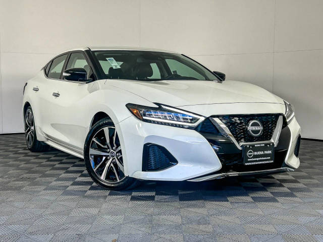 2023 Nissan Maxima SV FWD photo