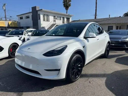 2023 Tesla Model Y  AWD photo