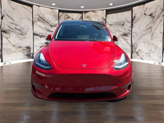 2023 Tesla Model Y  AWD photo