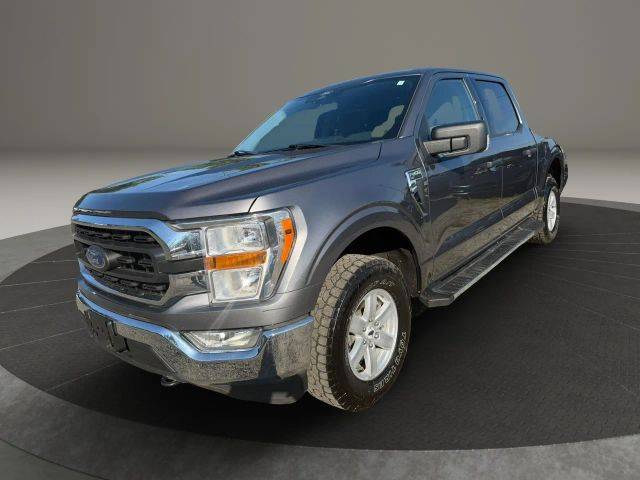 2021 Ford F-150 XLT 4WD photo