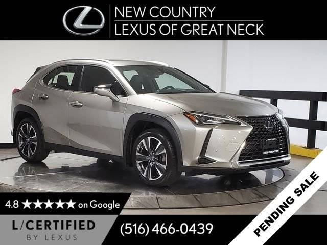 2020 Lexus UX UX 250h AWD photo