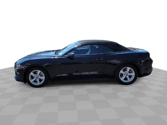 2023 Ford Mustang EcoBoost RWD photo