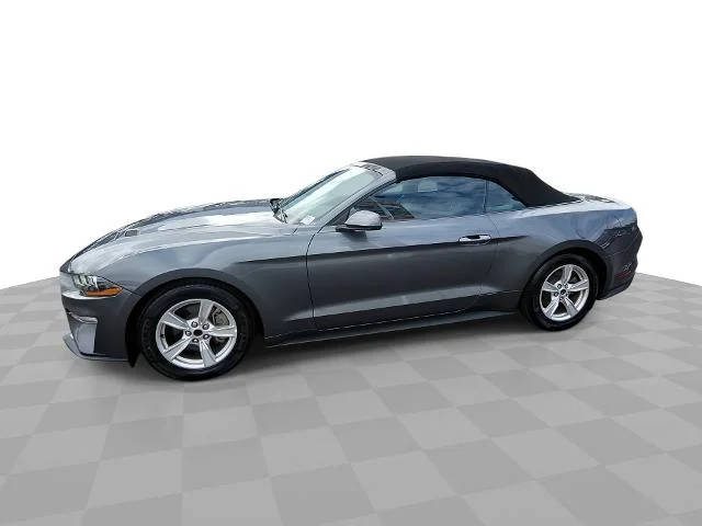 2023 Ford Mustang EcoBoost RWD photo