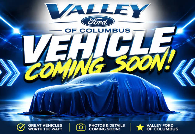 2023 Ford Transit Passenger Wagon XLT RWD photo