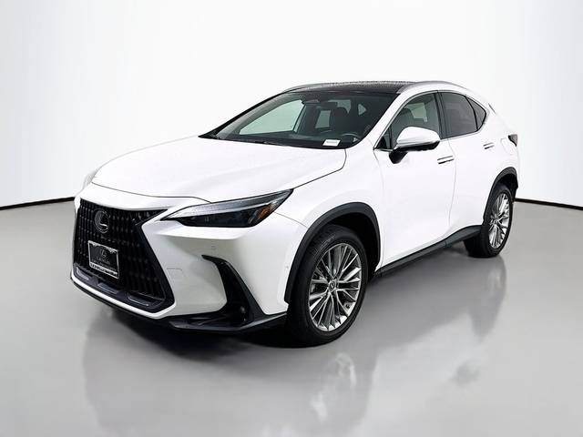 2023 Lexus NX NX 350h Luxury AWD photo