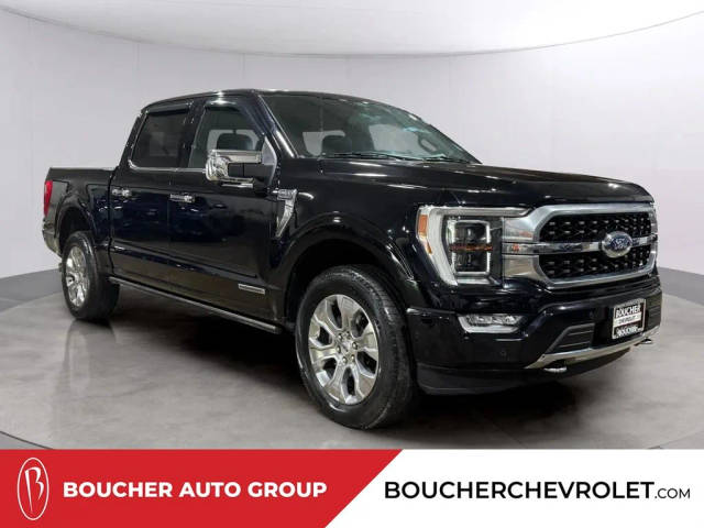 2021 Ford F-150 Platinum 4WD photo