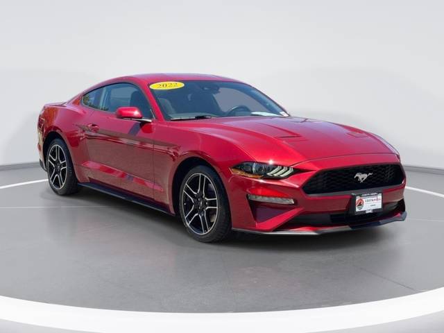 2022 Ford Mustang EcoBoost RWD photo