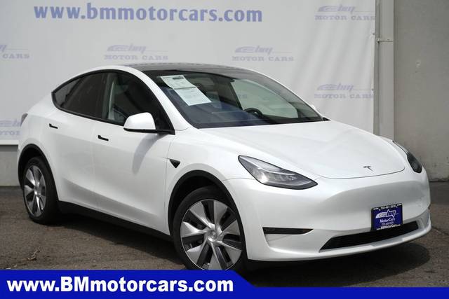 2023 Tesla Model Y  AWD photo