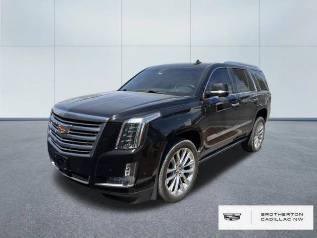 2019 Cadillac Escalade Platinum 4WD photo