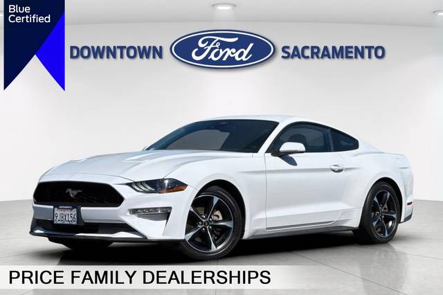 2021 Ford Mustang EcoBoost RWD photo