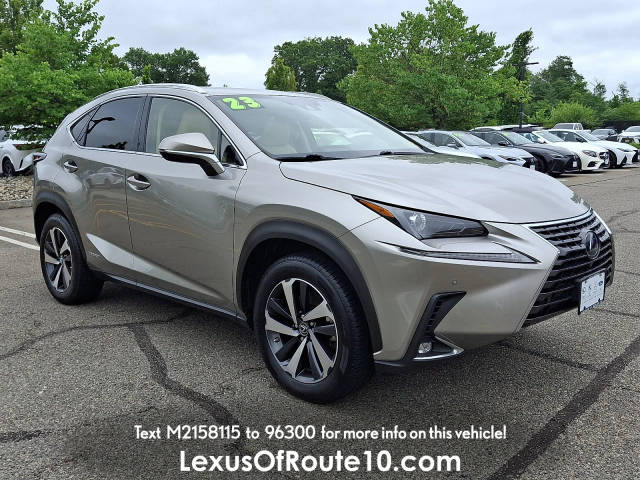2021 Lexus NX NX 300h AWD photo