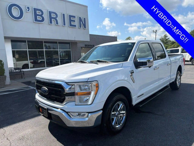 2022 Ford F-150 XLT RWD photo
