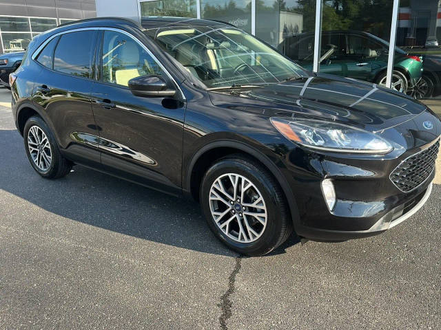 2020 Ford Escape SEL AWD photo