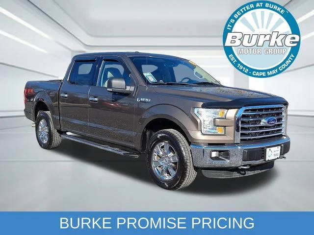 2015 Ford F-150 XLT 4WD photo