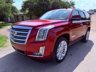 2015 Cadillac Escalade Platinum RWD photo