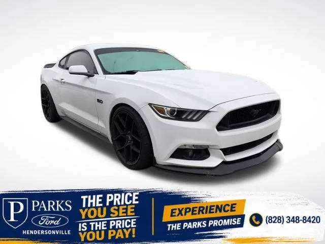 2015 Ford Mustang GT RWD photo