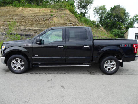 2015 Ford F-150 XLT 4WD photo