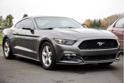 2015 Ford Mustang EcoBoost RWD photo