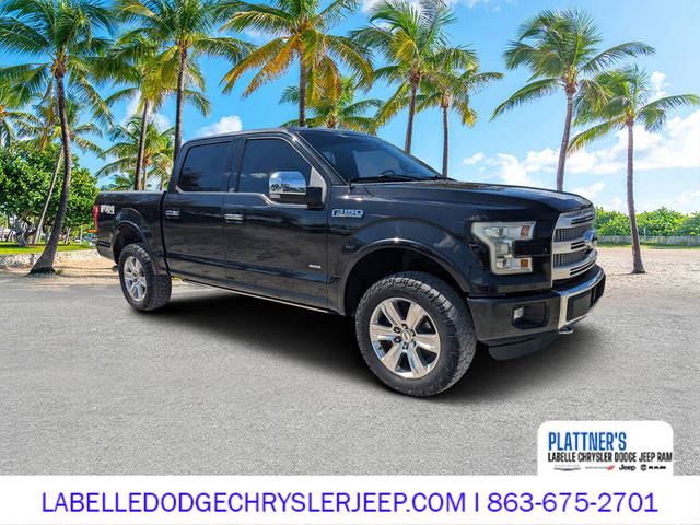 2015 Ford F-150 Platinum 4WD photo