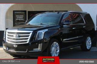 2016 Cadillac Escalade Platinum 4WD photo