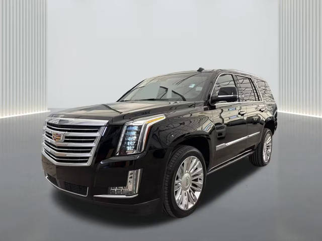 2016 Cadillac Escalade Platinum RWD photo