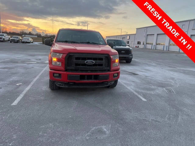 2015 Ford F-150 XL 4WD photo