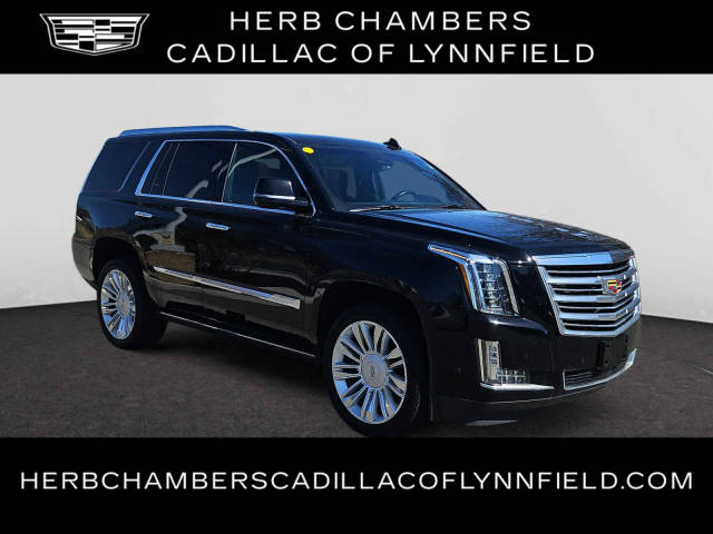 2016 Cadillac Escalade Platinum 4WD photo