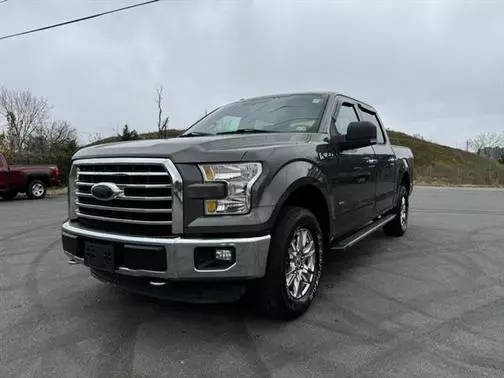 2015 Ford F-150 XLT 4WD photo